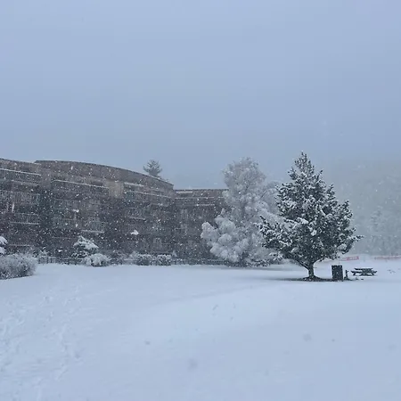 La Marmotte Ensoleillee Montclar